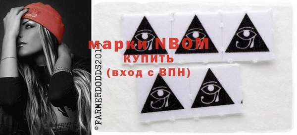 прущий лед Алзамай