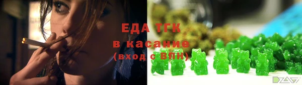 прущий лед Алзамай