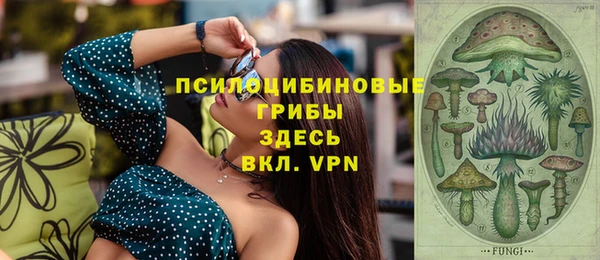 прущий лед Алзамай