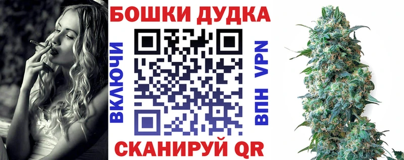 МЕГА онион  Заволжск  Шишки марихуана сатива 